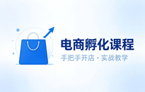 海外独立站孵化训练营