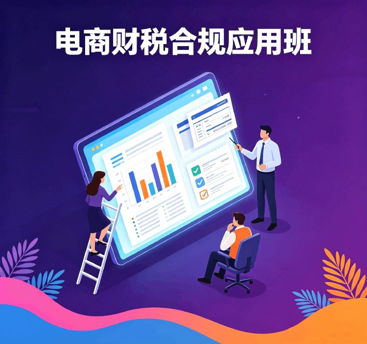 电商财税合规应用班